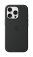 iPhone 16 Pro Max Cases