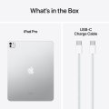 13" iPad Pro WiFi 256GB with Standard glass - Silver