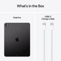 13" iPad Pro WiFi 256GB w. Standard glass Space Black