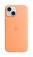 iPhone 15 Plus Cases