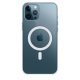 iPhone 12 Pro Max Cases