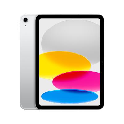 iPad 11" Wi-Fi + Cellular 256GB - Silver