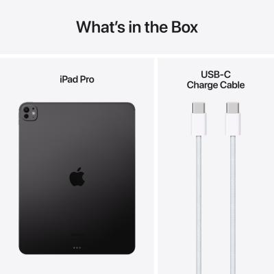 13" iPad Pro WiFi 256GB w. Standard glass Space Black