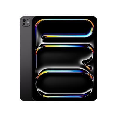 13" iPad Pro WiFi 256GB w. Standard glass Space Black