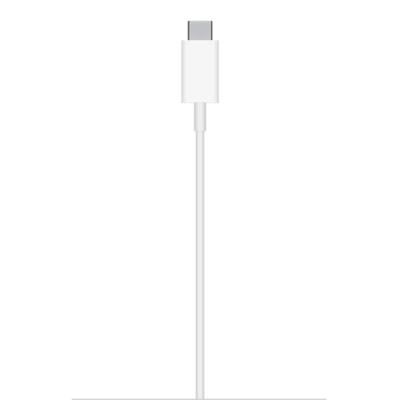 Apple MagSafe Charger (2m) - IN STOCK
